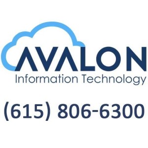 Avalon Information Systems Pvt Ltd